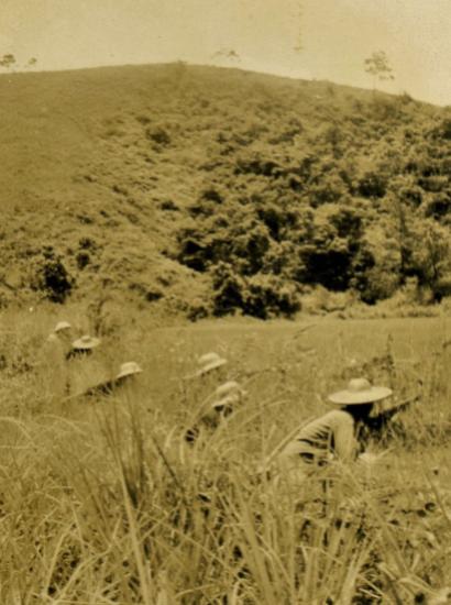 East River Column guerrilla warfare in Guangdong. Guerrillas crouching in a grassy field.