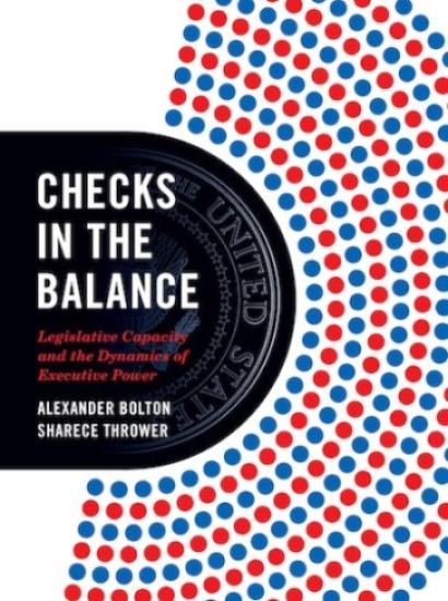 Checks in the Balance: Legislative Capacity and the Dynamics of Executive Power