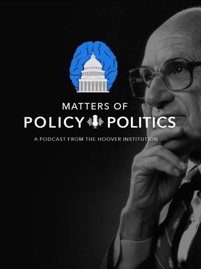 Matters-of-Policy-Politics1700px_friedman.jpg