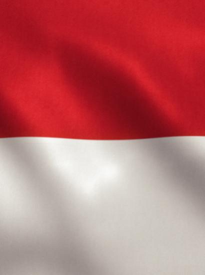 Indonesian Flag