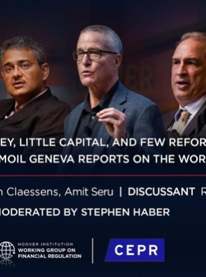 Much Money, Little Capital, and Few Reforms: The 2023 Banking Turmoil