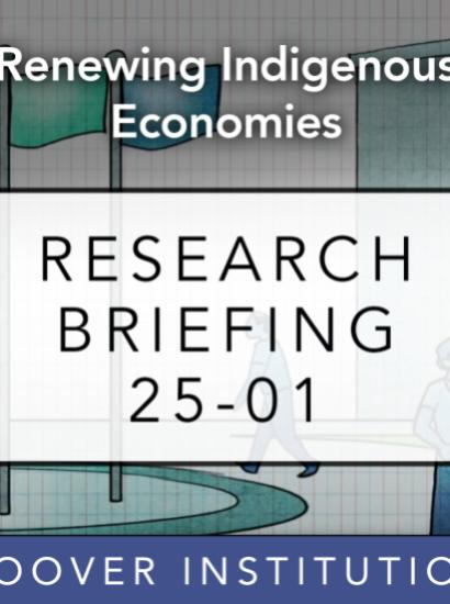 Renewing-Indigenous-Economies_Research_Brief_8.jpg