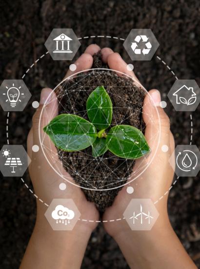 environmentiStock-1413842071.jpg 