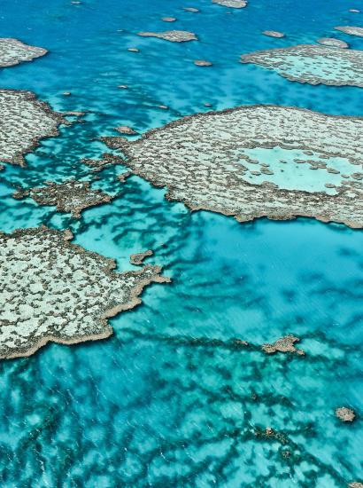 Great barrier reef australia