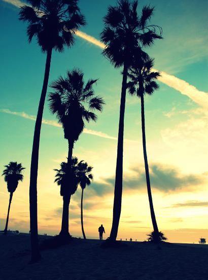 california shutterstock  image
