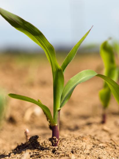 farming shutterstock  image