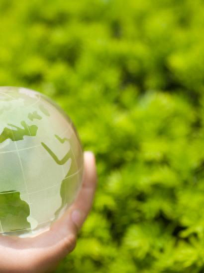 greenworld  image