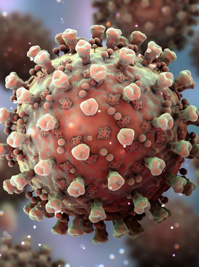 Coronavirus   image