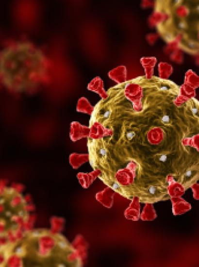 coronavirus   image