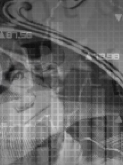 Image for Policy seminar on the Guardians of Finance: Making Them Work for Us