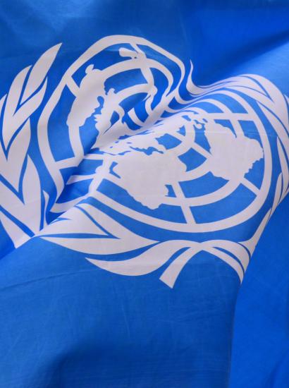 unitednations   image