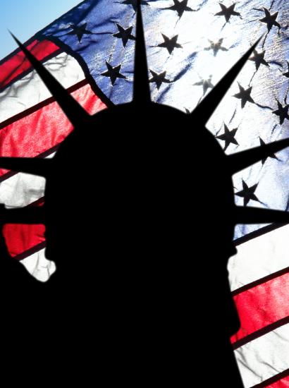 immigration image