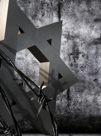 holocaust   image
