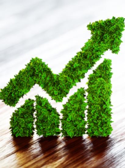 Environmental   image