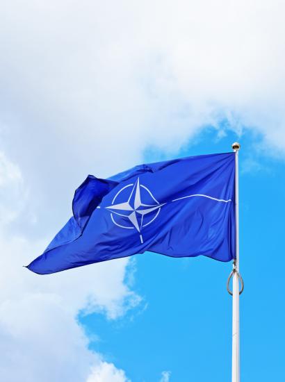 nato   image