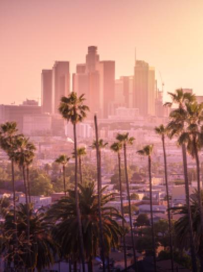 losangeles   image