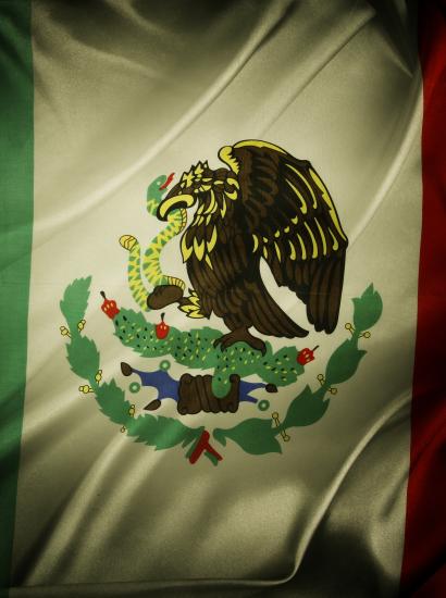 Mexican Flag