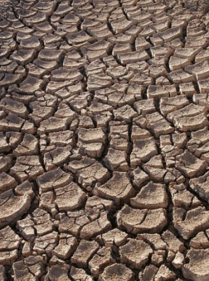 Dry ground in the Sonoran Desert, Sonora,Mexico