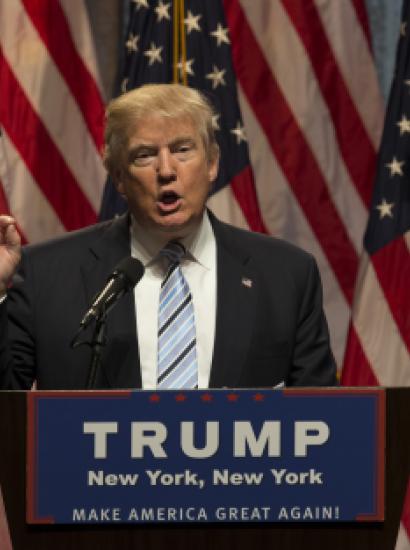 trump   large image
