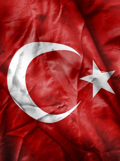 turkey   large image