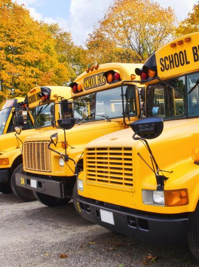 School Buses