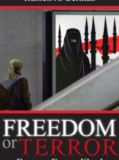 cover image for Freedom or Terror