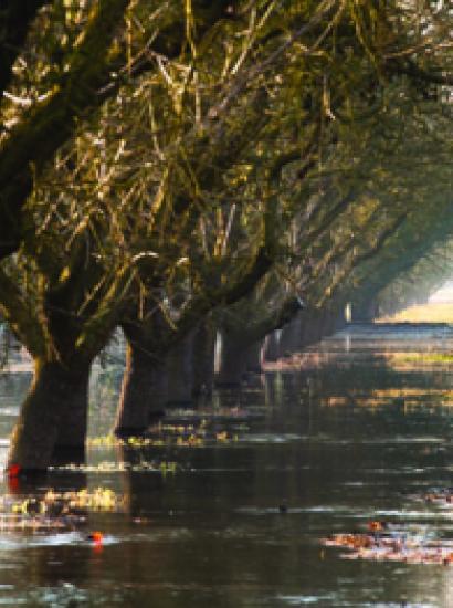 flood near Modesto in January 2012