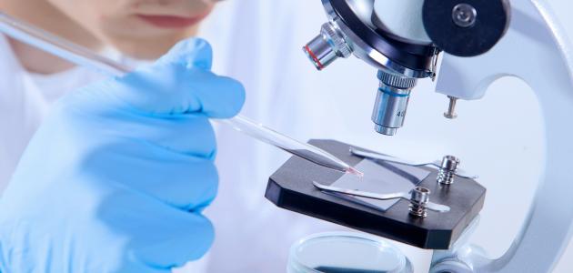 science shutterstock  image