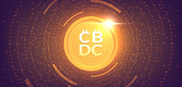 Central Bank Digital Currency