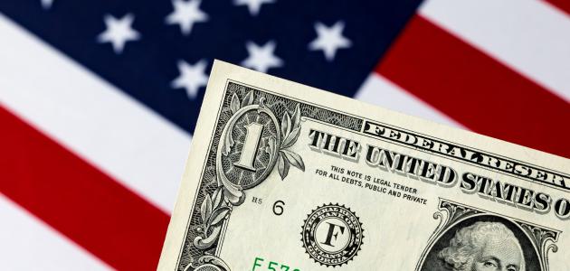 American Flag with Dollar Bill