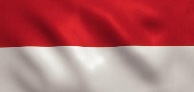 Indonesian Flag