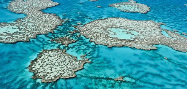 Great barrier reef australia