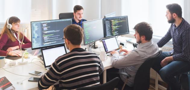 Software developing team working in the office stock photo
