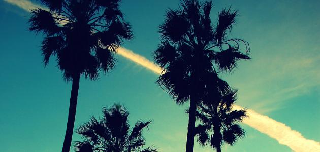 california shutterstock  image