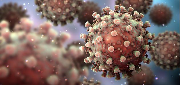 Coronavirus   image