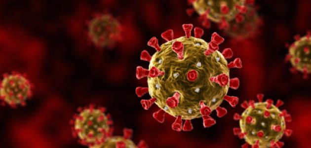 coronavirus   image