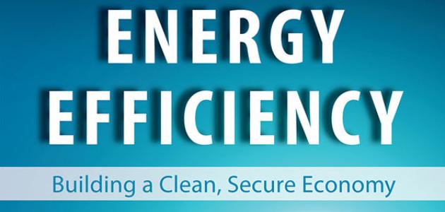 Energy Efficiency by James Sweeney