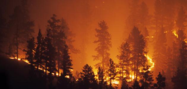 Image for California Wildfires - Crisis to Opportunity  Exploring the intersection of risks, incentives, and consequences 