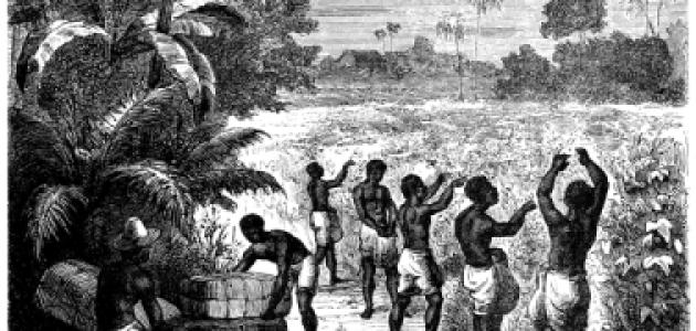 Image for Slave Prices in New York and New Jersey