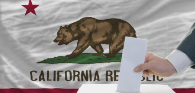 california elections  image