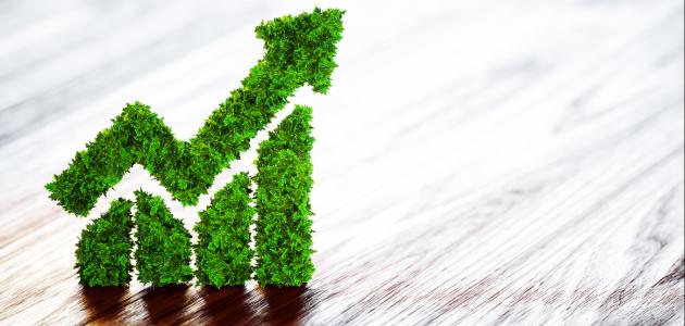 Environmental   image