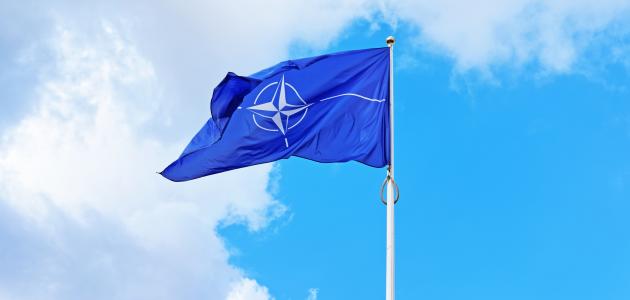 nato   image