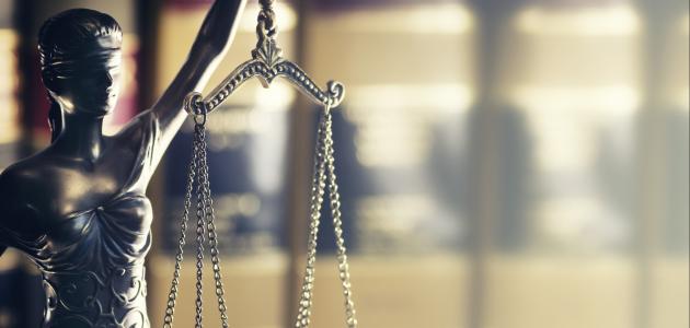 law   image