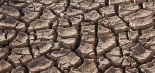 Dry ground in the Sonoran Desert, Sonora,Mexico