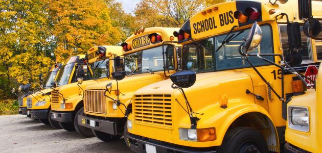 School Buses