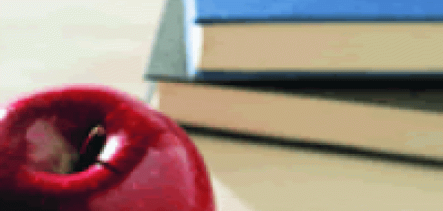 Teacher Quality