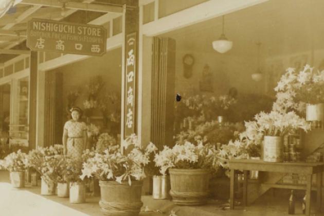 Nishiguchi Storefront woman standing amongst flowers