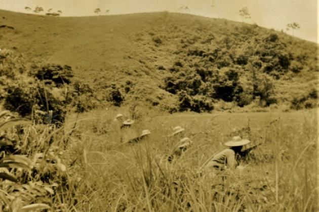 East River Column guerrilla warfare in Guangdong. Guerrillas crouching in a grassy field.