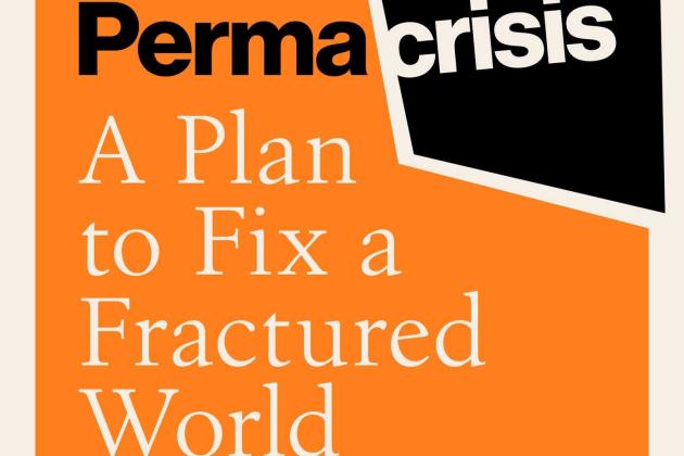 Permacrisis