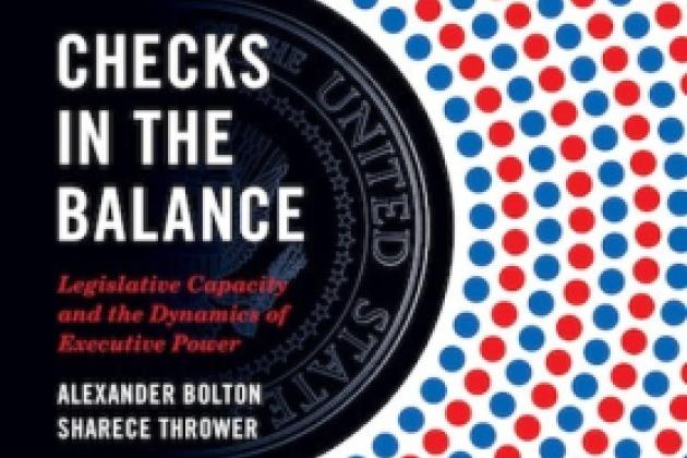 Checks in the Balance: Legislative Capacity and the Dynamics of Executive Power